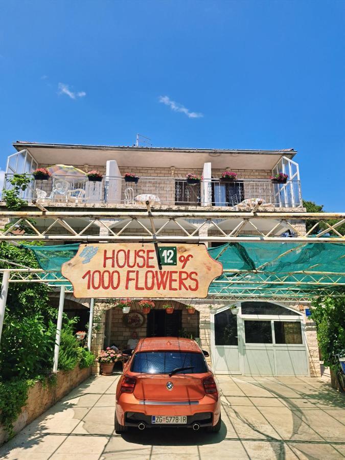 Apartments 1000 Flowers Stari Grad  Ngoại thất bức ảnh